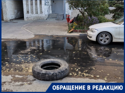 Источник пробился из асфальта у детской поликлиники в Волгограде