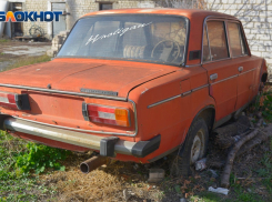 Волгоградцам грозит лишиться автомобиля из-за привычки выкидывать мусор из окна