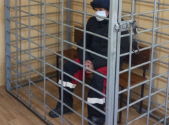 Избившего до полусмерти беременную сожительницу волгоградца заключили под стражу 