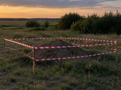 Бомбу нашли в лесопосадке под Волгоградом 