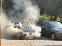 Названа причина возгорания возле Вечного огня в Волгограде 