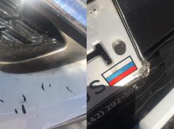 Бродячие собаки ночью погрызли автомобиль волжанки