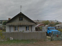 В Урюпинске объявлен карантин по бешенству