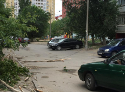 Упавшая ветка дерева и оборванный электрокабель заблокировали въезд во двор на севере Волгограда