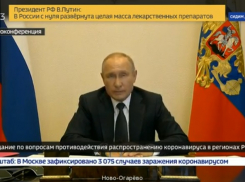 Президент РФ Владимир Путин продлил выходные до 11 мая включительно