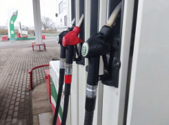 Цены на два вида бензина «замерзли» в Волгограде 