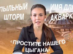 Пыльная буря, цыганские извинения и атака на зверодетей: новости Волгограда за неделю 