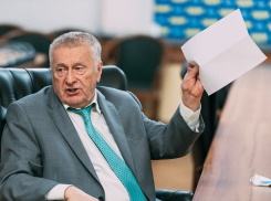 Большинство волгоградцев высказались против переименования Жирновска в Жириновск