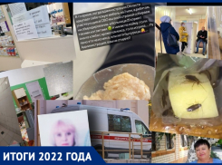 Смерти матерей-волгоградок, проникновение мужчины в детскую больницу и тараканьи грозди - как жаловались на медицину в 2022 году