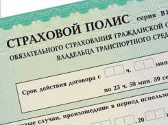 23-летний волгоградец попался на мошенничестве с полисами ОСАГО 
