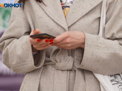 Волгоградская полиция опровергла возбуждение уголовных дел из-за компрометирующей должников рассылки 