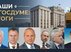 Кто стал самым строптивым, а кто молчал пять лет: как отличились волгоградцы в Госдуме