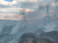 «Были в кольце, окружённые огнем со всех сторон»: жители волгоградского СНТ о крупном пожаре