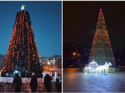 Это позор: елка-обрубок испортила праздничное настроение волгоградцам