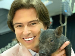 Прохор Шаляпин с очаровательным поросенком поздравили волгоградцев с Новым годом