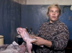 51-летняя жительница Волгограда, поедающая собак, не против перейти на людей