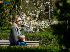 До апрельских +18 резко потеплеет в Волгограде