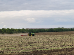 В степи в Волгоградской области изнасиловали женщину 