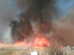 Страшный пожар высотой в несколько метров у жилых домов попал на видео под Волгоградом