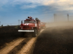 Мужчина пострадал при пожаре на острове Сарпинский в Волгограде