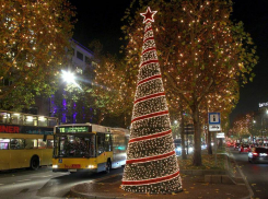 В Волгограде появится 25 елок во всех районах города