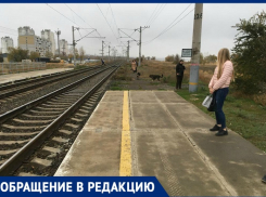 Волгоградцы жалуются на бродячих собак, поселившихся на станции Руднева