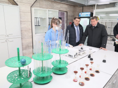 Губернатор заявил об импортоопережении в Волгоградской области