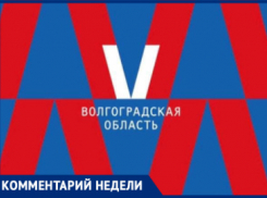 Волгоградка назвала позором придуманный за 3,4 миллиона символ области, похожий на рисунок для халата 