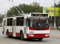 Волгоградцы простят Путина и Бочарова сохранить троллейбус №6