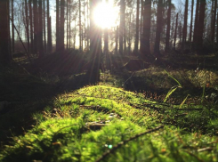 Резкий перепад погоды произойдет в Волгоградской области в понедельник