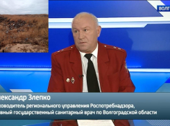 Бывший руководитель волгоградского Роспотребнадзора идет под суд