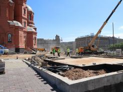 4-метровые клены и сосны высадят на пешеходной зоне на улице Мира в Волгограде