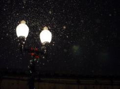 За кровавую расправу в новогоднюю ночь под Волгоградом ответят отец и сын 