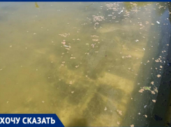 Самый большой фонтан юга России пугает волгоградцев пеной и грязью