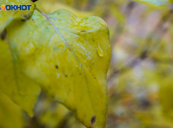 Волгоград встречает понедельник со снегом и дождем