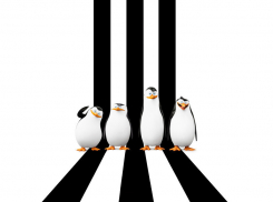 «Пингвины Мадагаскара» не собрали в Волгограде ожидаемую аудиторию