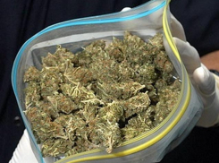 Во Фролово служебная собака обнаружила у скутериста марихуану