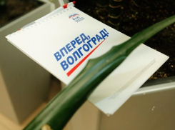 Лидер единороссов проиграла выборы под Волгоградом