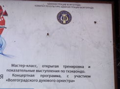 Восьминогие охранники появились на набережной в Волгограде