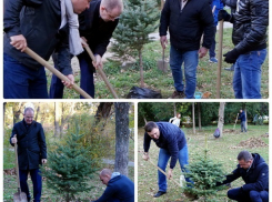 Депутаты Волгоградской облдумы в дорогих туфлях вышли копать землю