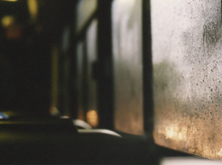 Семеро пассажиров автобуса едва не погибли из-за уснувшего водителя в Волгоградской области