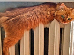 В Волгограде завершился отопительный сезон