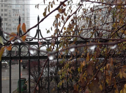 В Волгограде подует северный ветер 