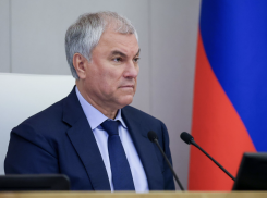 Покаяния потребовал Володин у желающих вернуть Сталинград