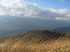 Жуткий ветер и гроза обрушились на Волгоградскую область