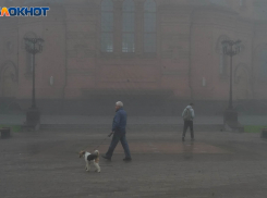 За руки-ноги никого не тянули: в Волгограде провалился несанкционированный митинг по антимобилизации