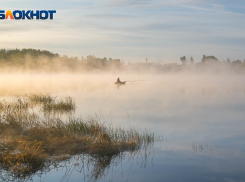 Специальный режим введен в Волгоградской области с 20 марта