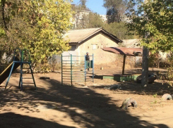 Волгоградские дети настолько суровы: Интернет в ужасе от новой детской площадки на юге Волгограда