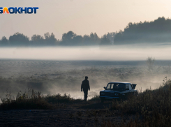 С облачного понедельника начнется неделя в Волгограде