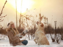 Все произошло внезапно: Наталья Варвина раскрыла правду о смерти любимого пса